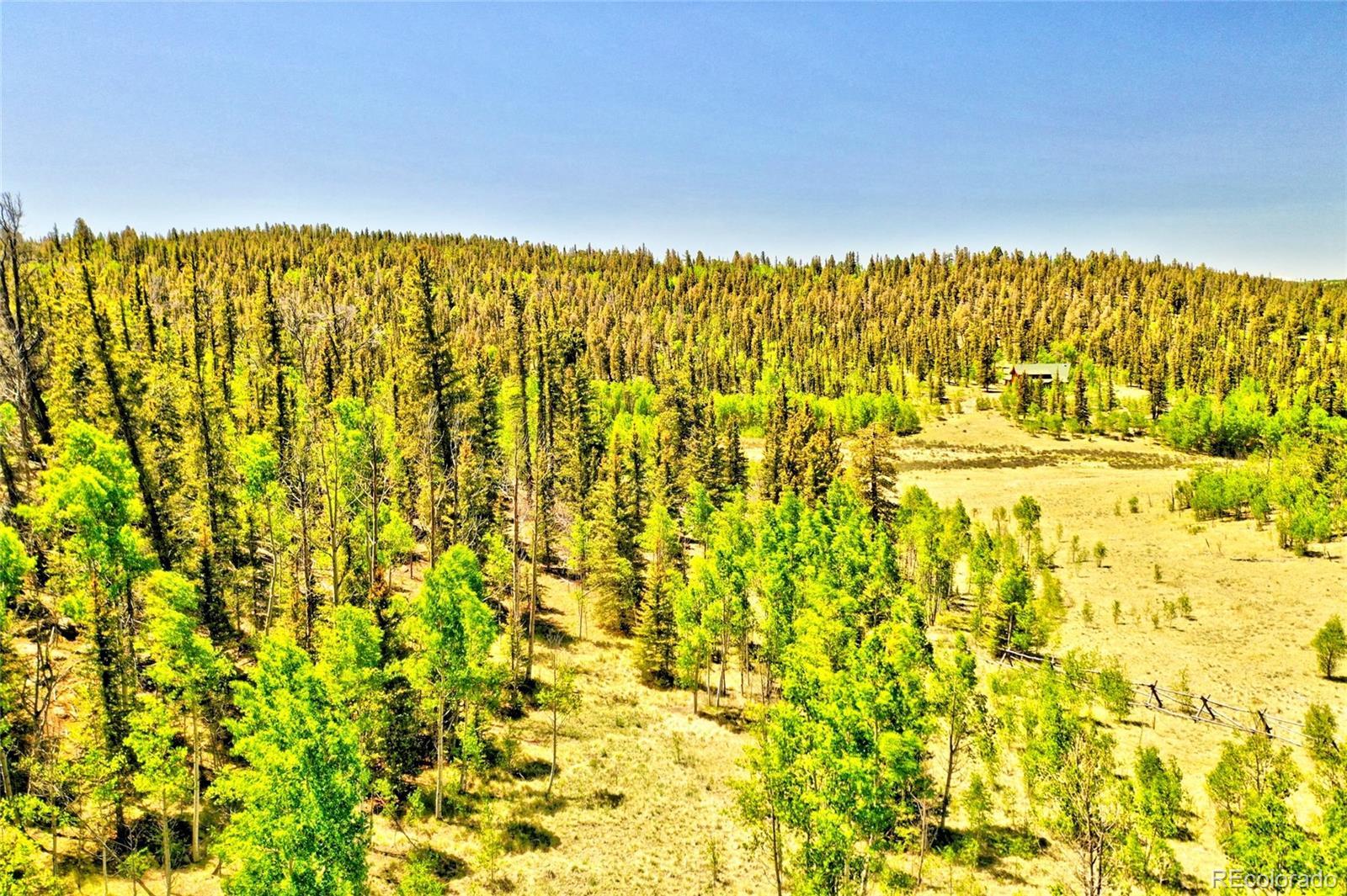 Photo of Listing #6371853