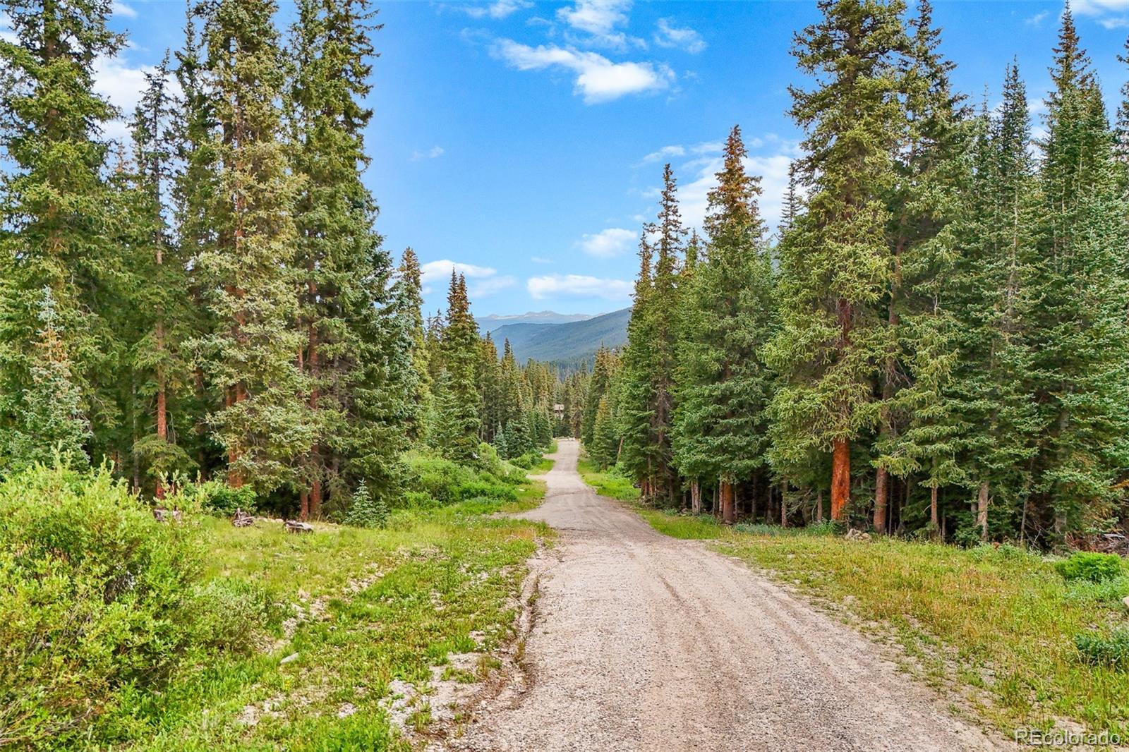 Photo of Listing #6400347