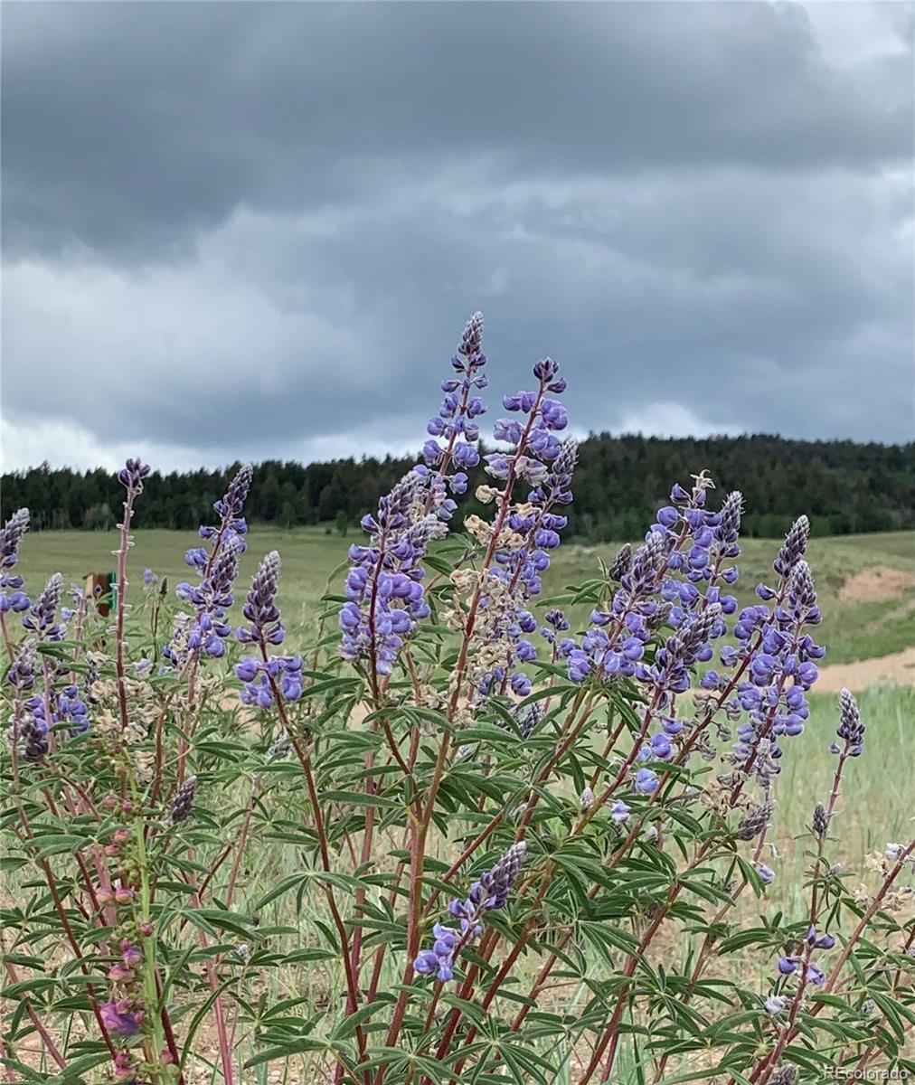 Photo of Listing #6415238