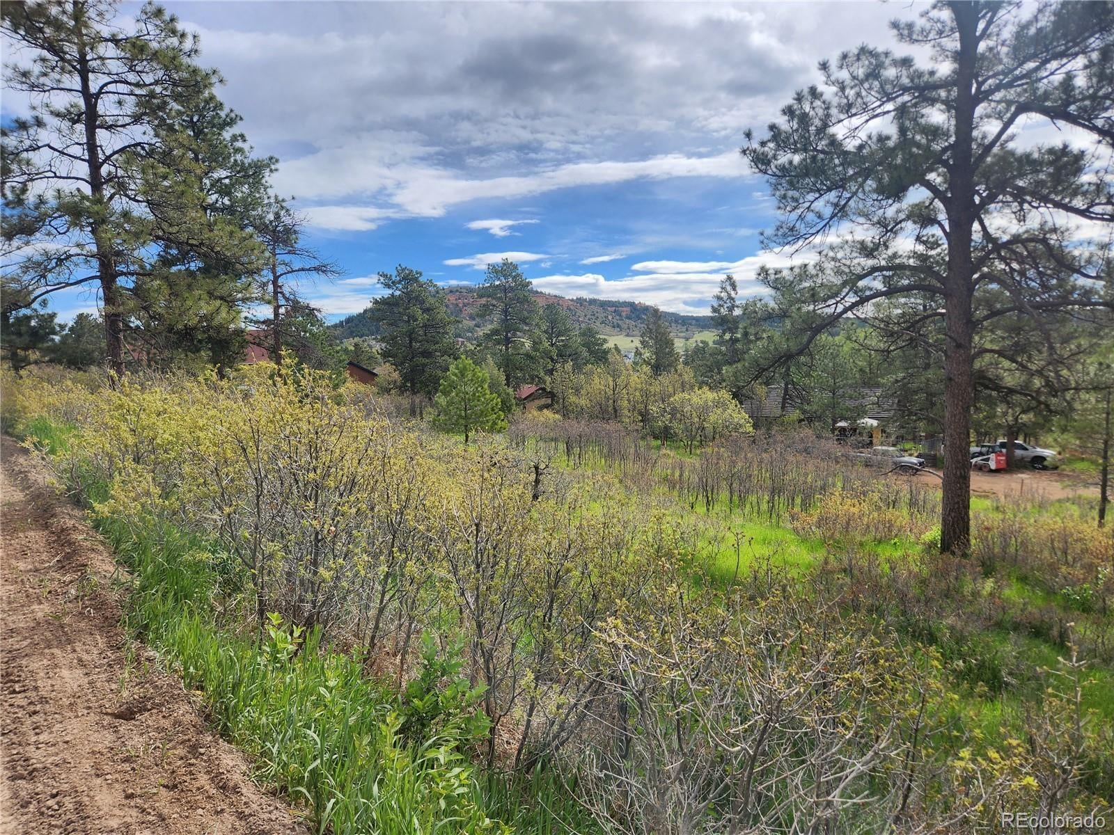 Photo of Listing #6425347