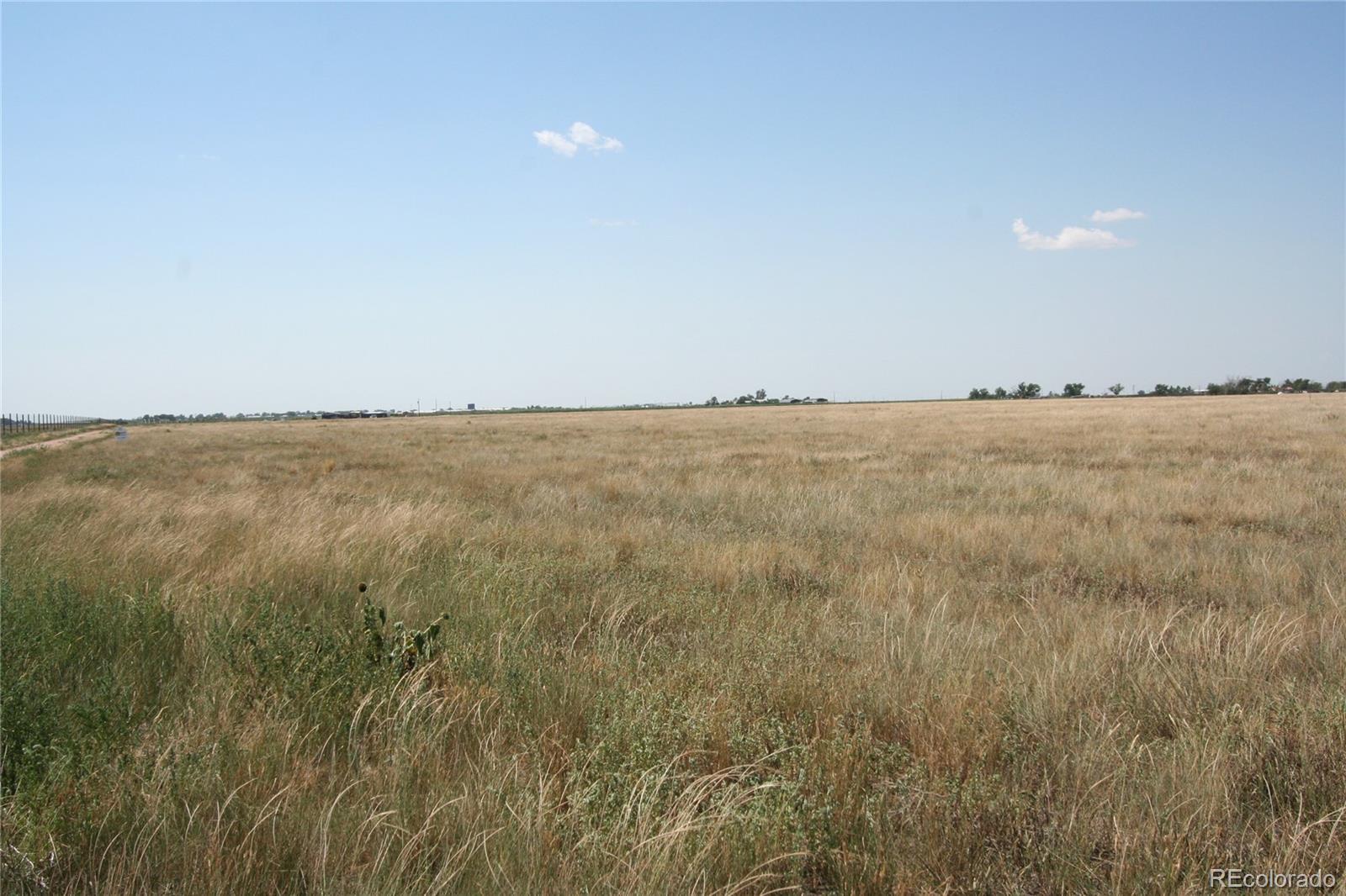 Photo of Listing #6446126