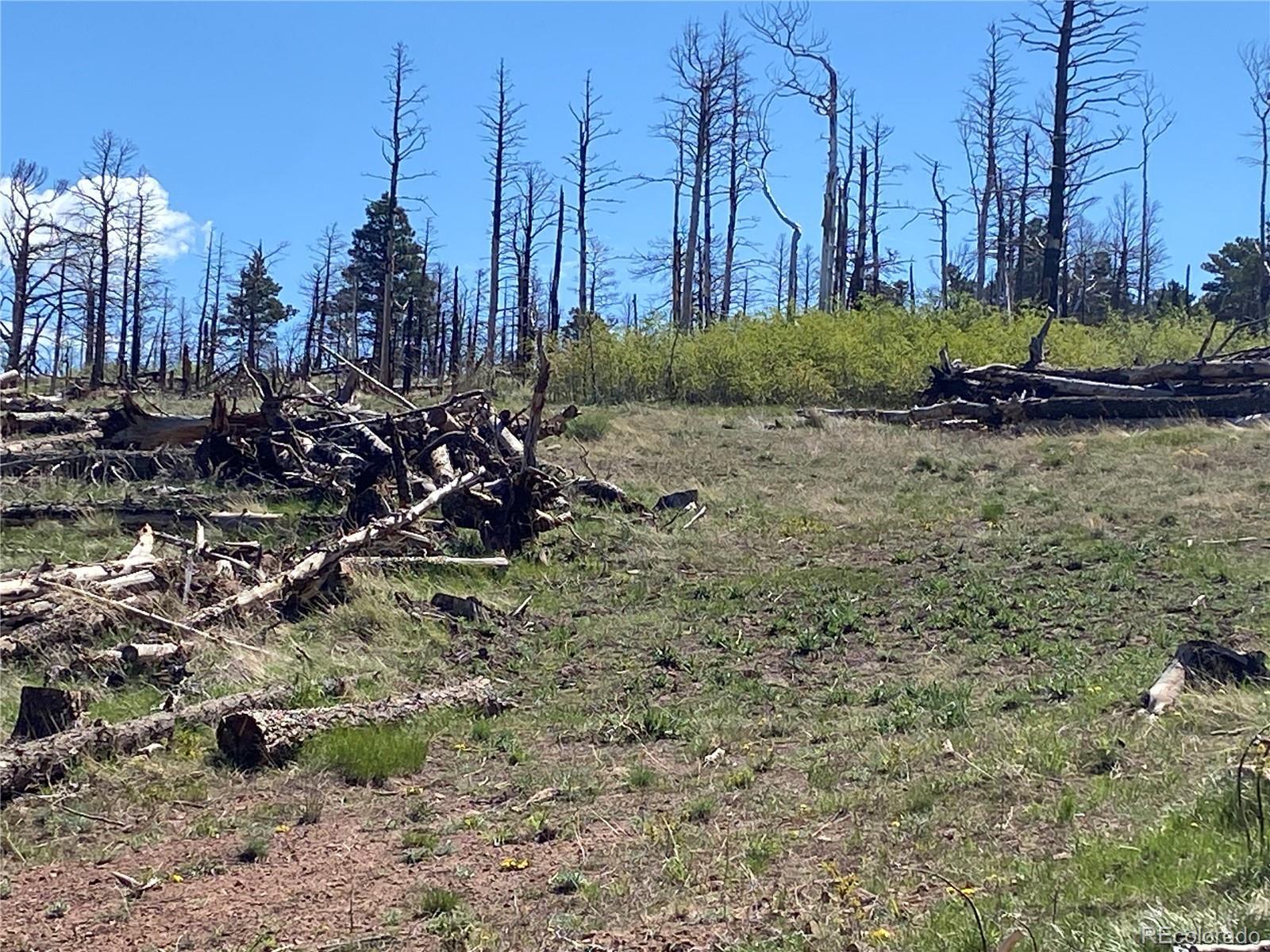 Photo of Listing #6500927