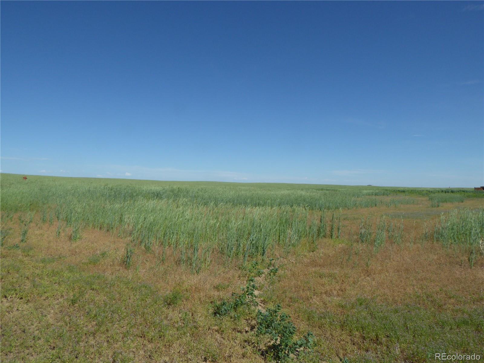 Photo of Listing #6524223