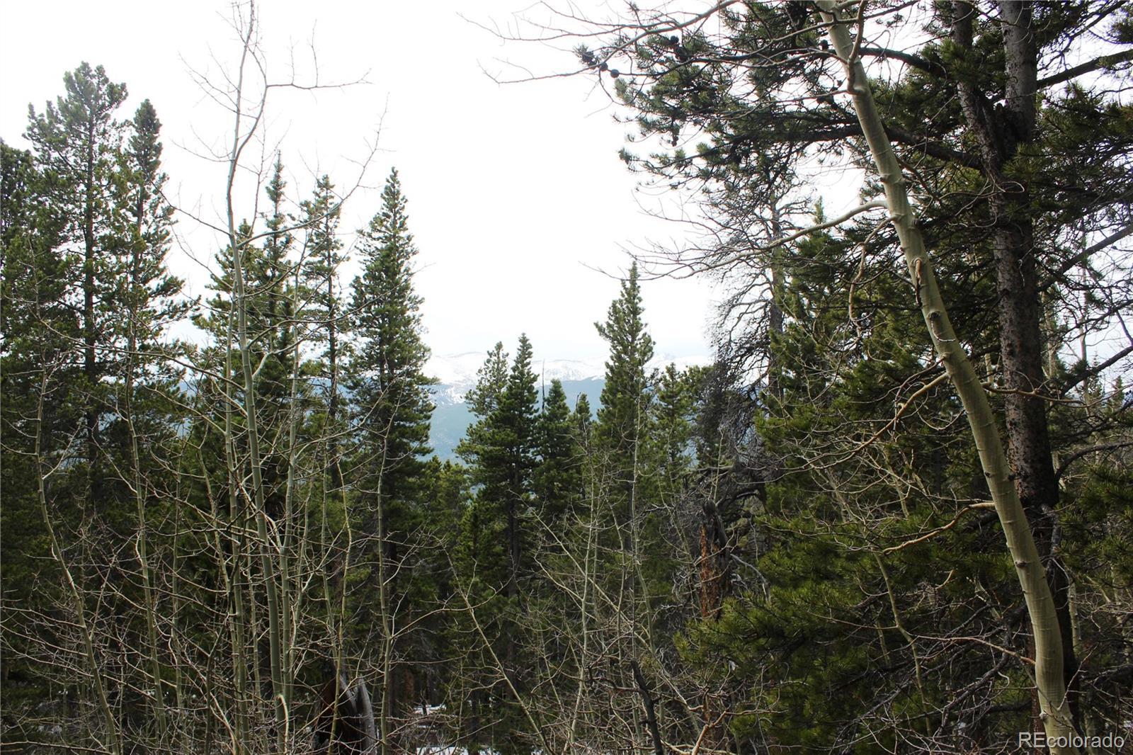 Photo of Listing #6524512