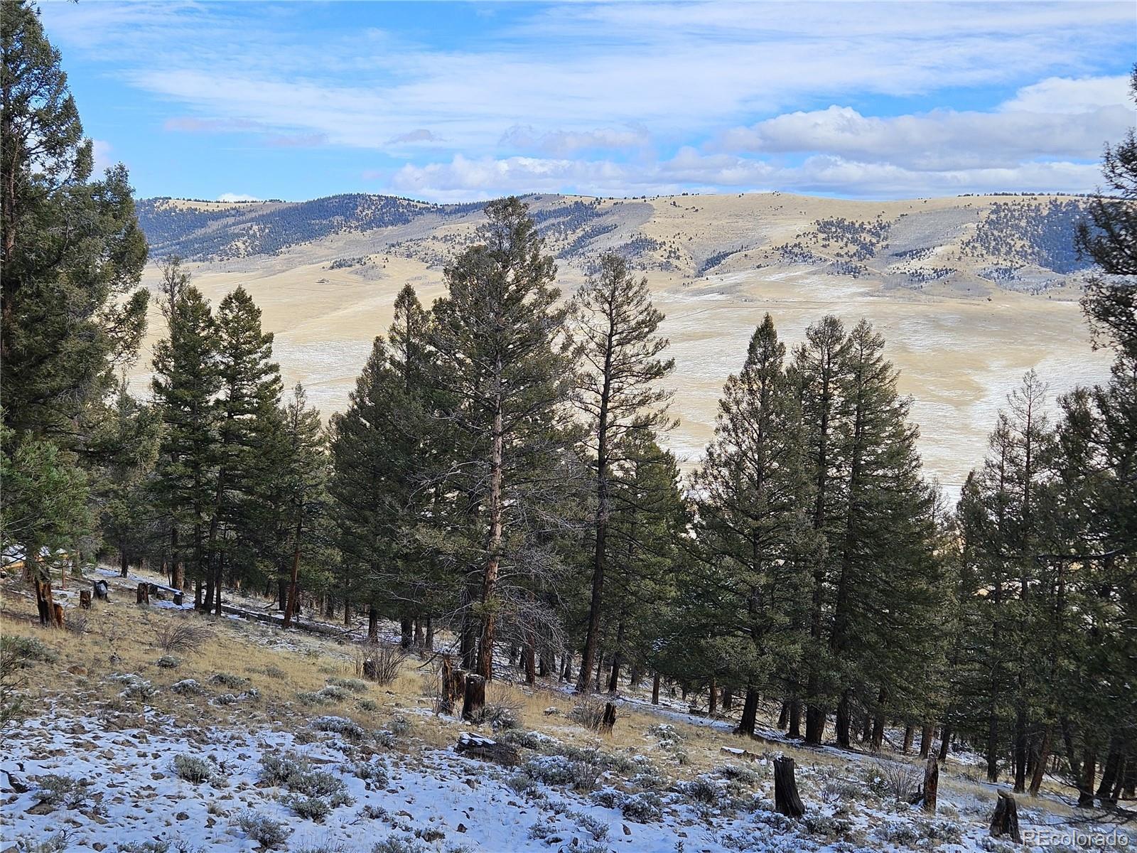 Photo of Listing #6589076