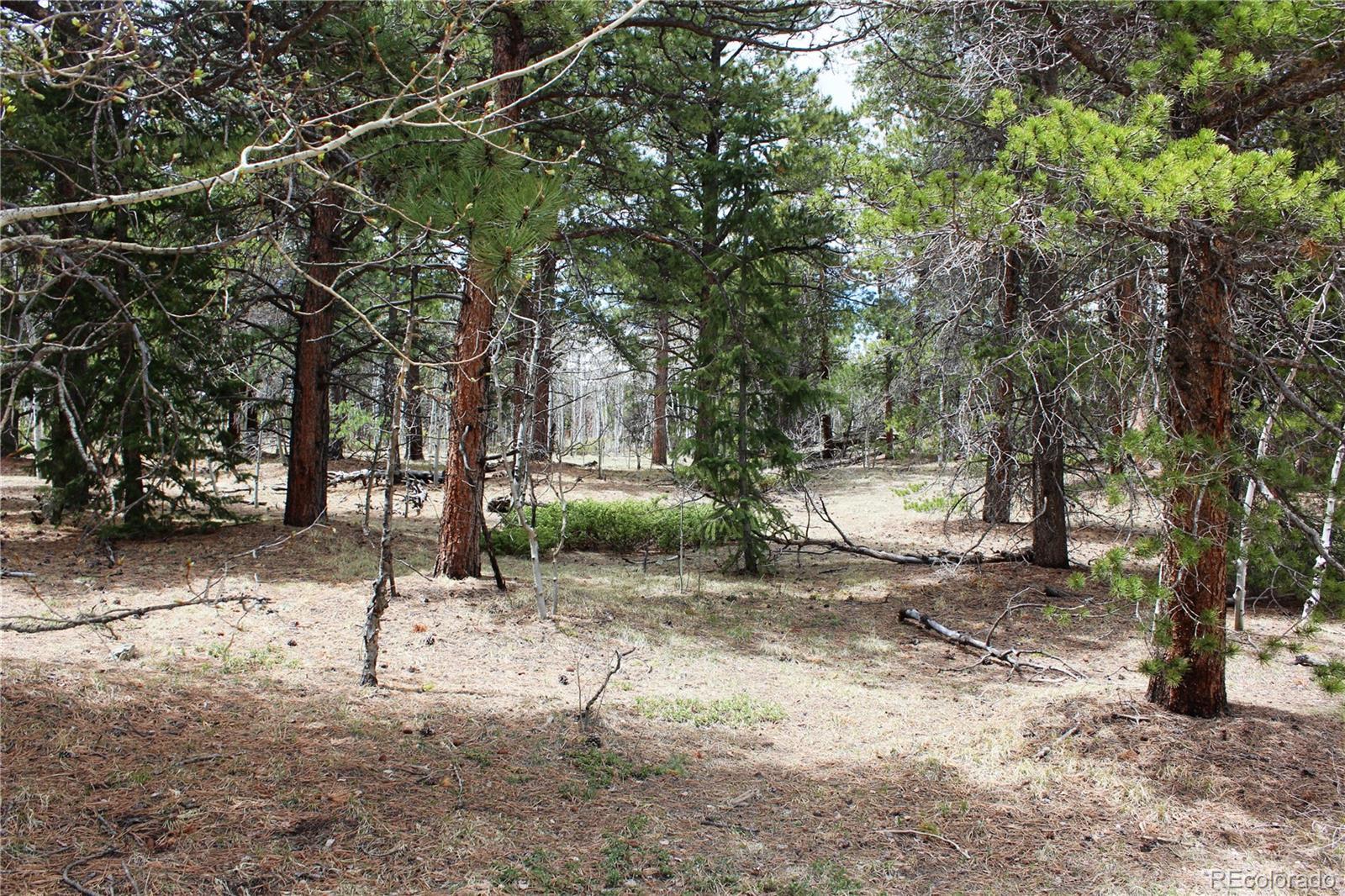 Photo of Listing #6620531