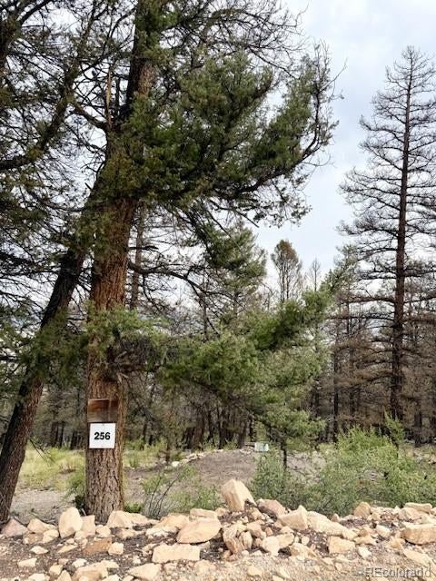 Photo of Listing #6667938