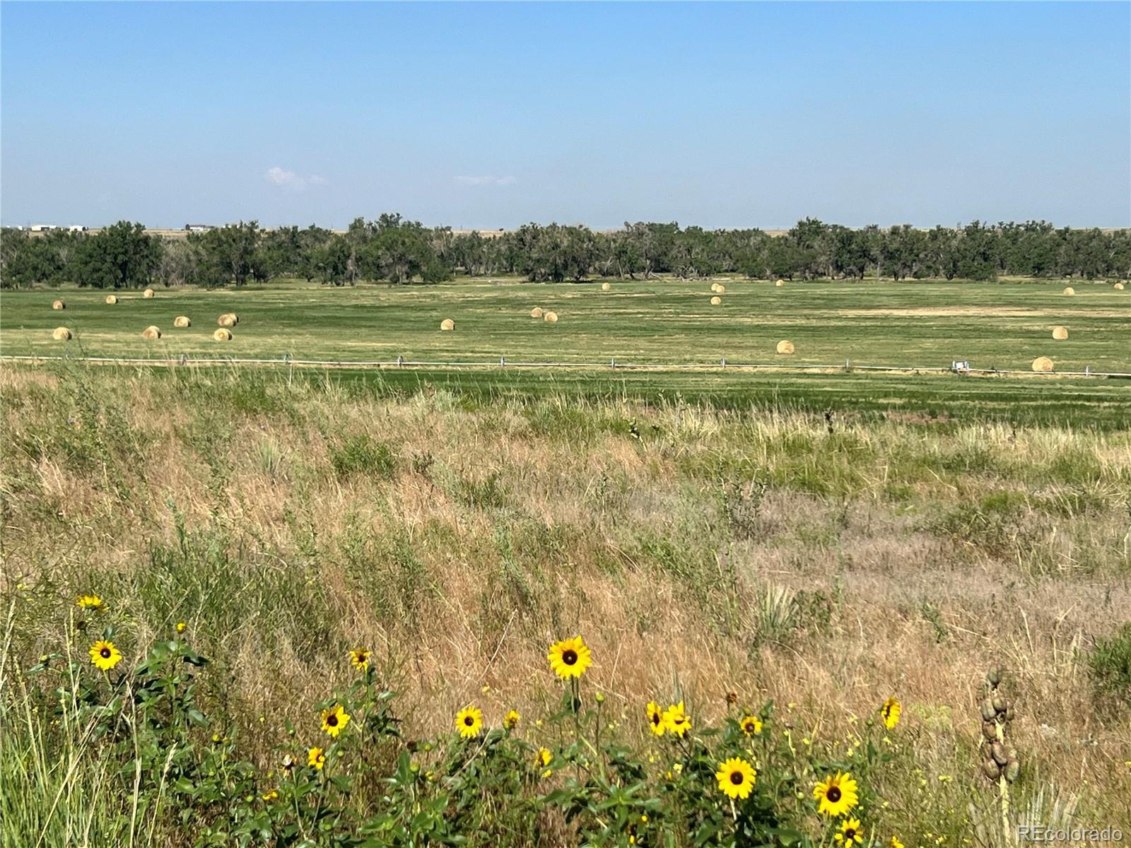 Photo of Listing #6695612