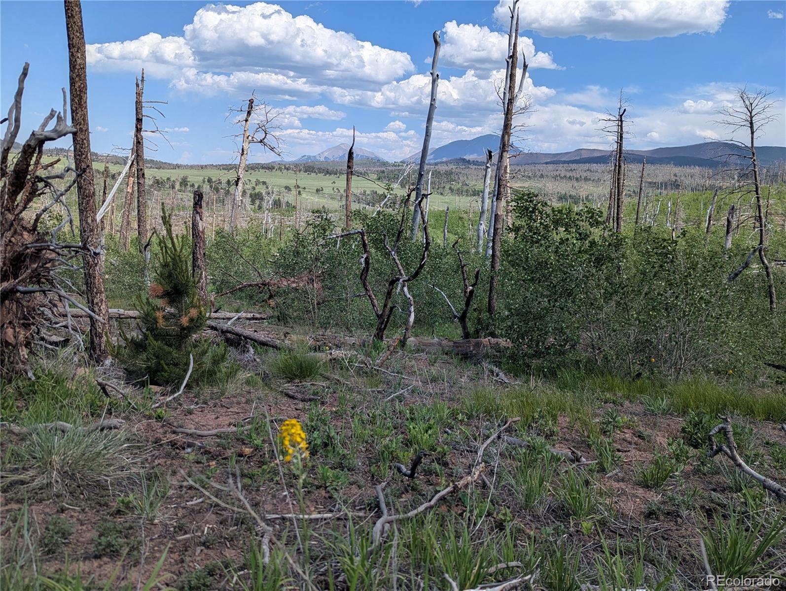 Photo of Listing #6698604