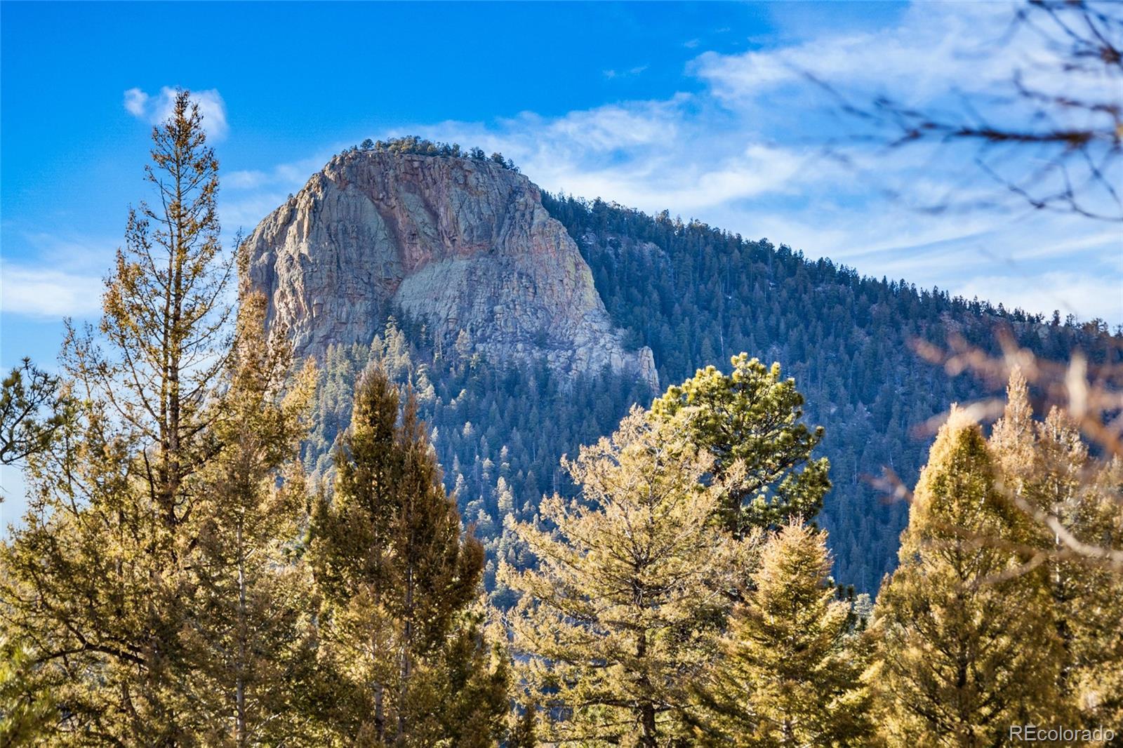 Photo of Listing #6707777