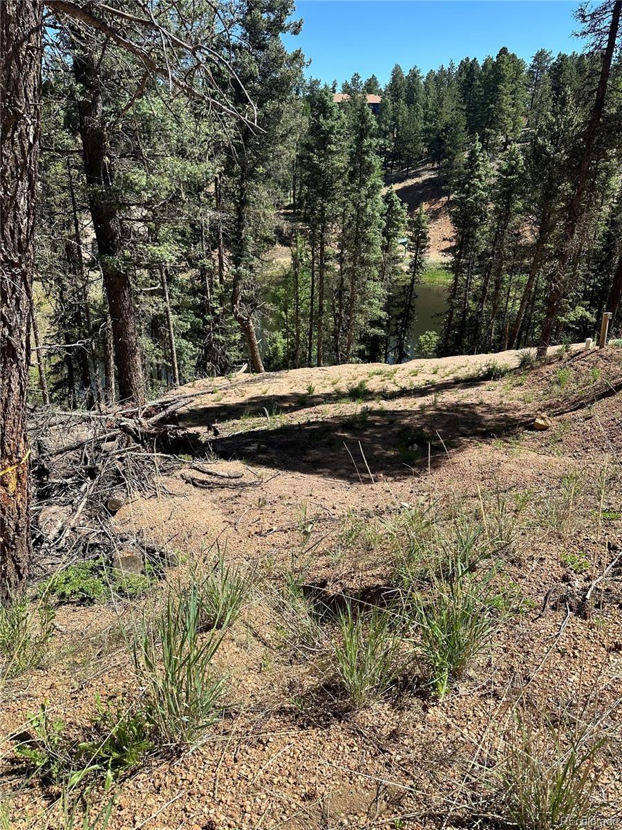 Photo of Listing #6710295