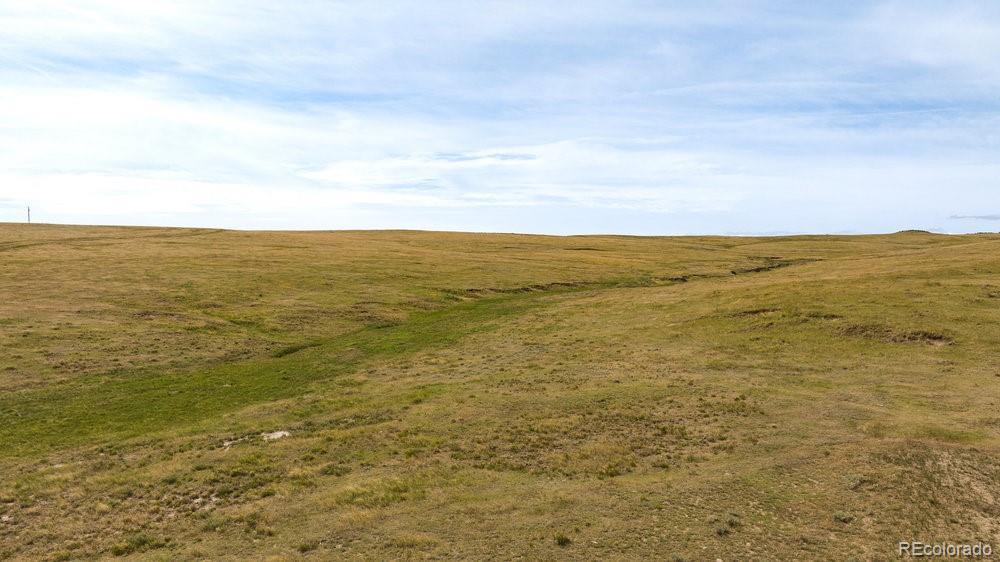 Photo of Listing #6770899