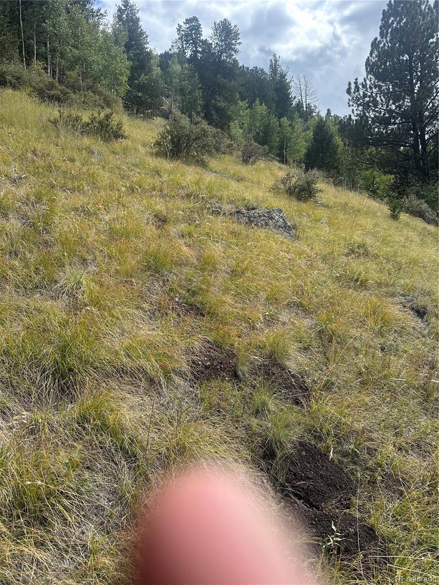 Photo of Listing #6786607