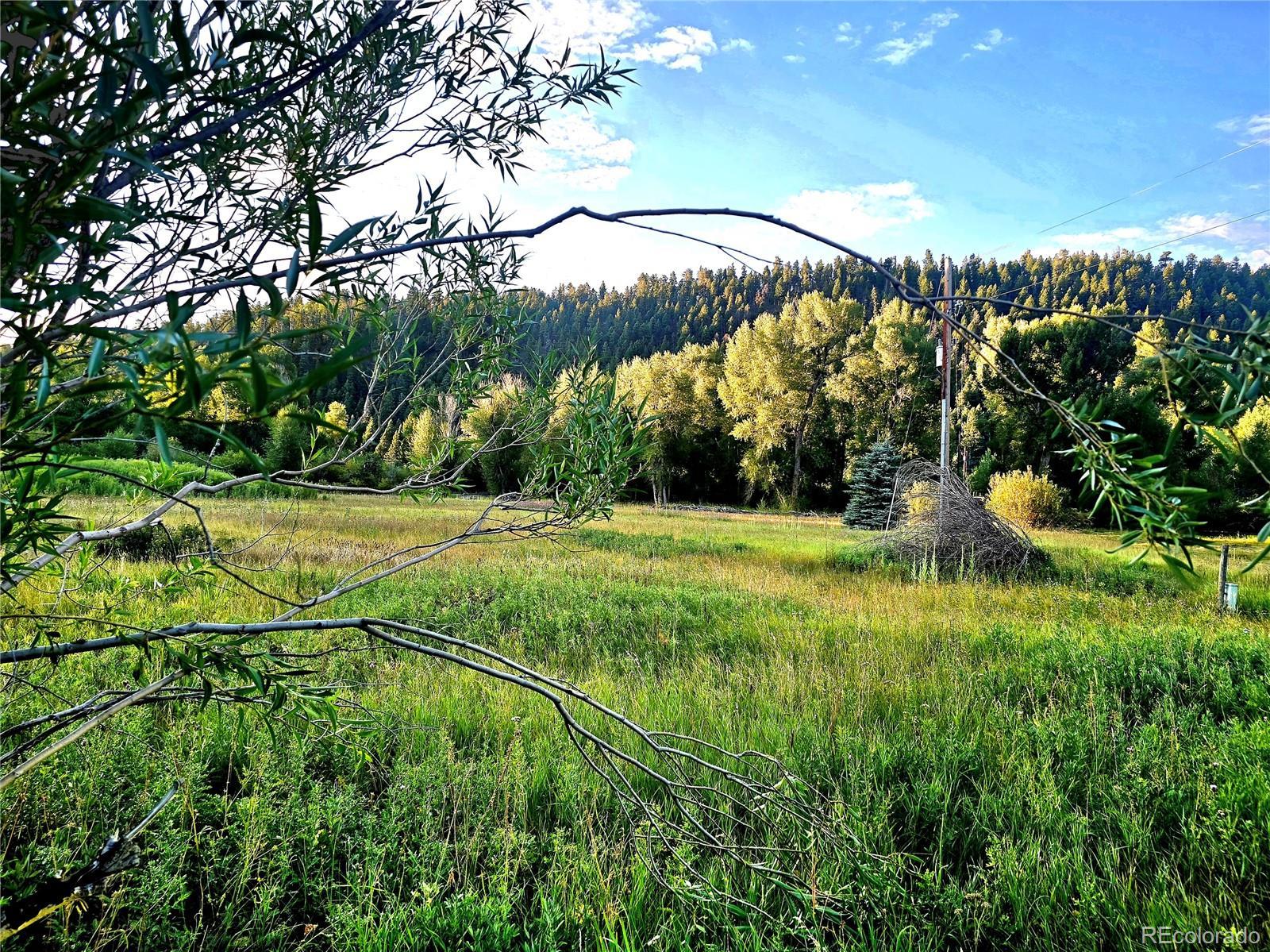 Photo of Listing #6825482