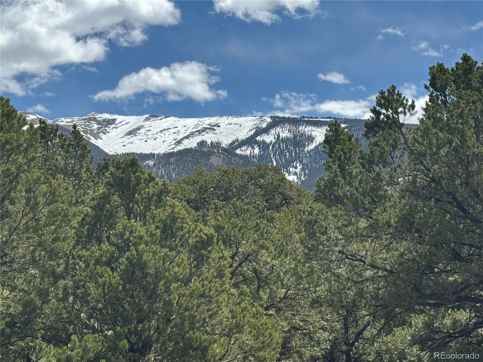 Photo of Listing #6865019