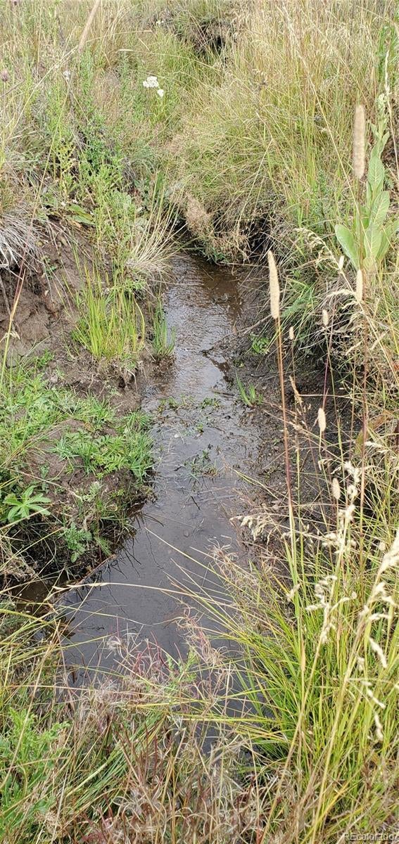 Photo of Listing #6900658