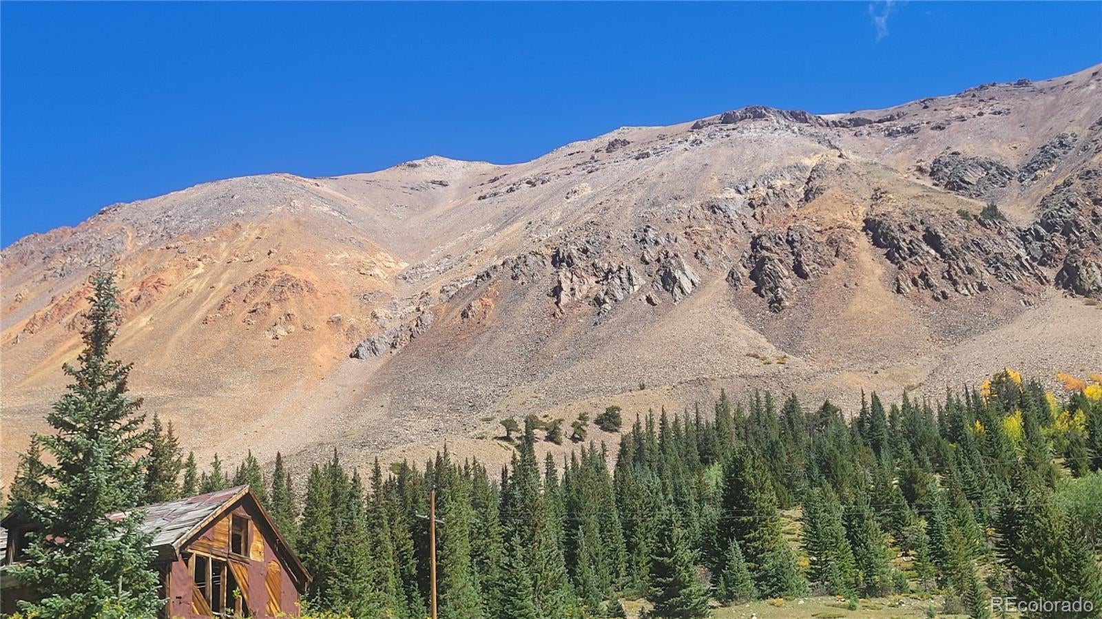 Photo of Listing #6907149