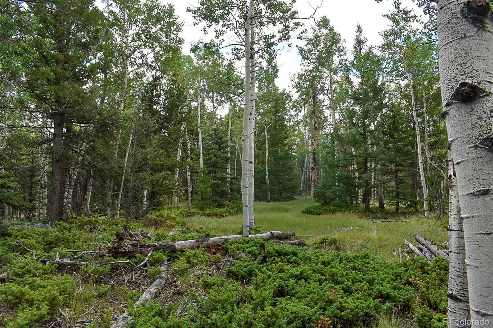 Photo of Listing #6949240