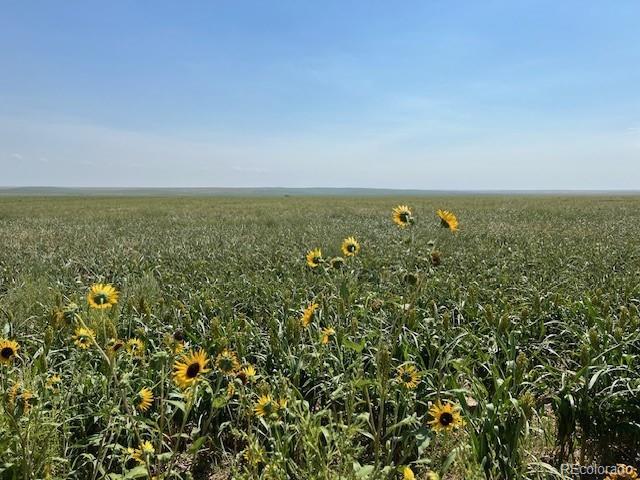 Photo of Listing #6990555