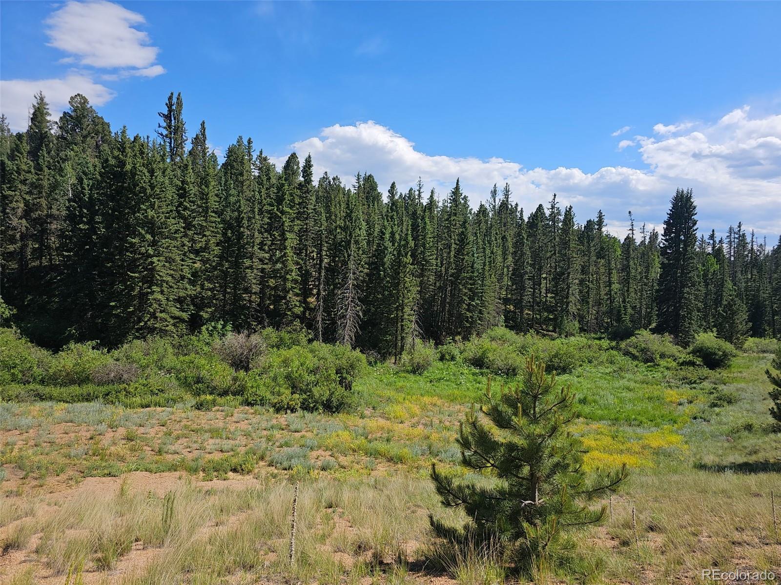 Photo of Listing #7000556