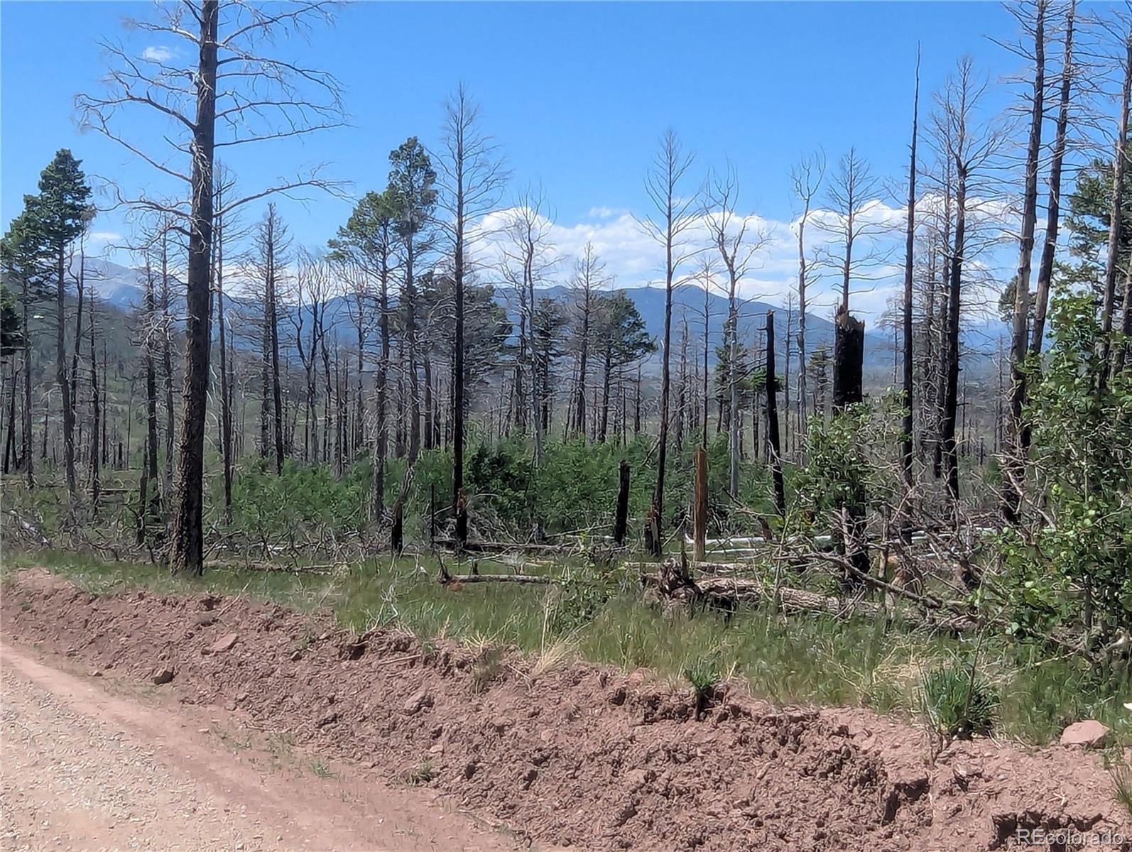 Photo of Listing #7022666