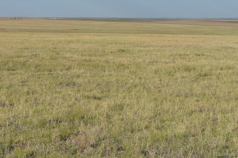 Photo of Listing #7041471