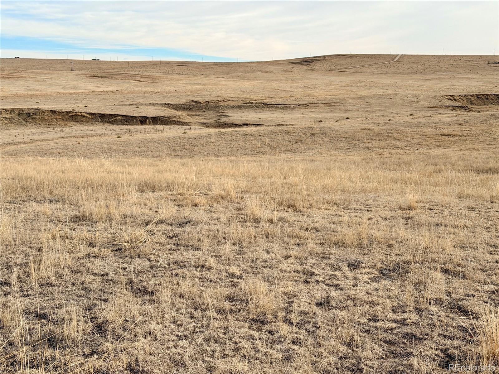 Photo of Listing #7063610