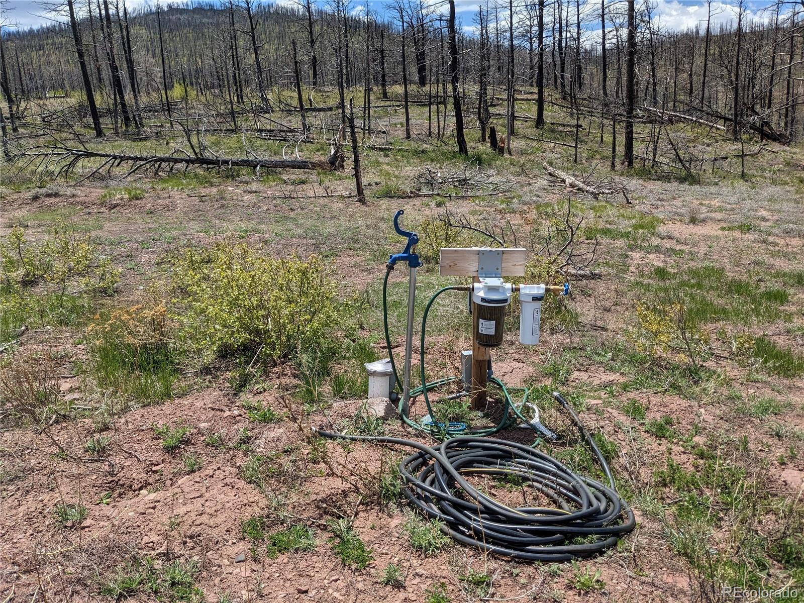 Photo of Listing #7067633