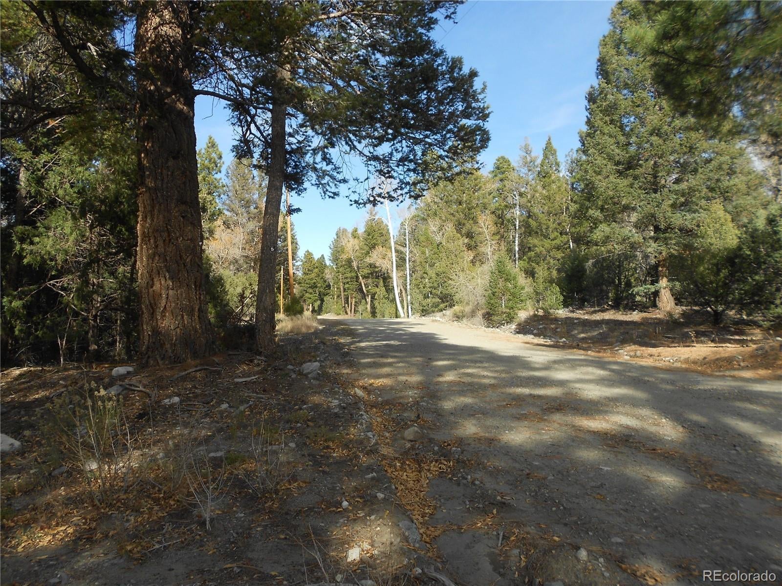 Photo of Listing #7081208
