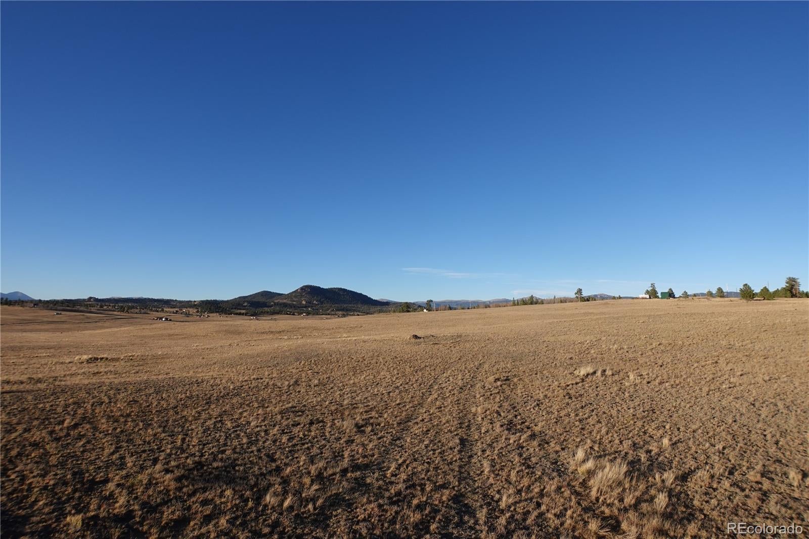 Photo of Listing #7103570