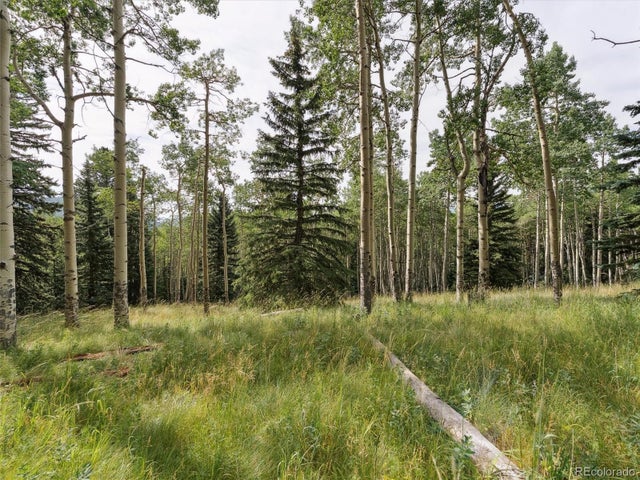 000 Meadowlark Drive, Evergreen