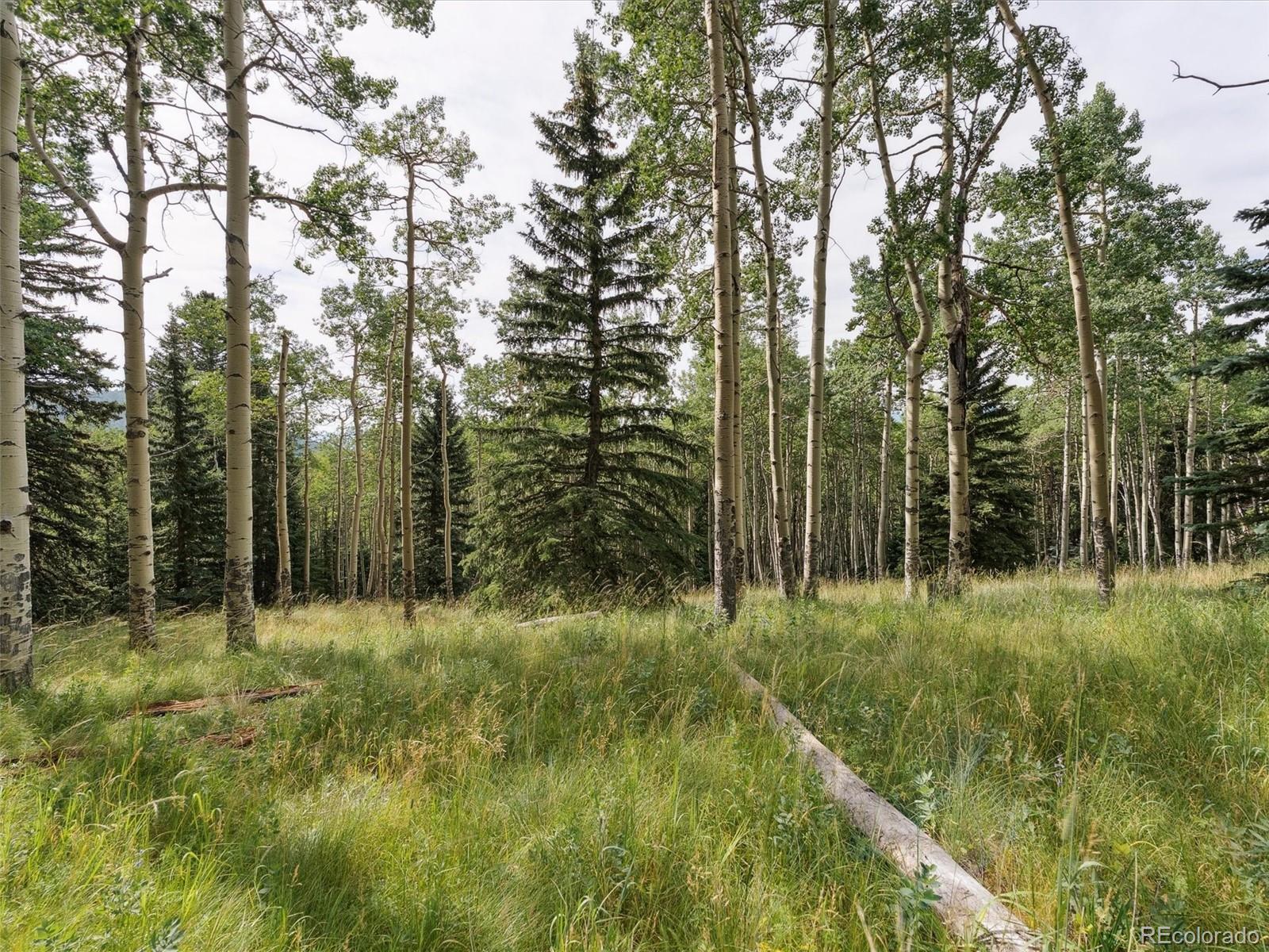 Photo of Listing #7113436