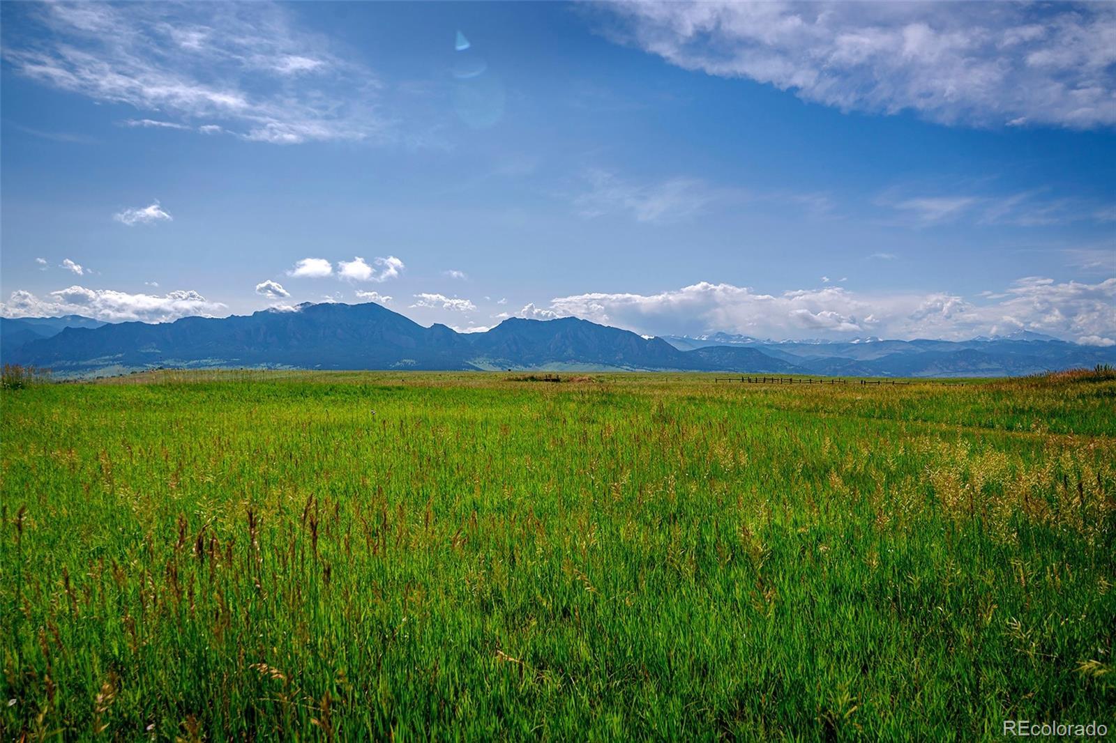 Photo of Listing #7131786