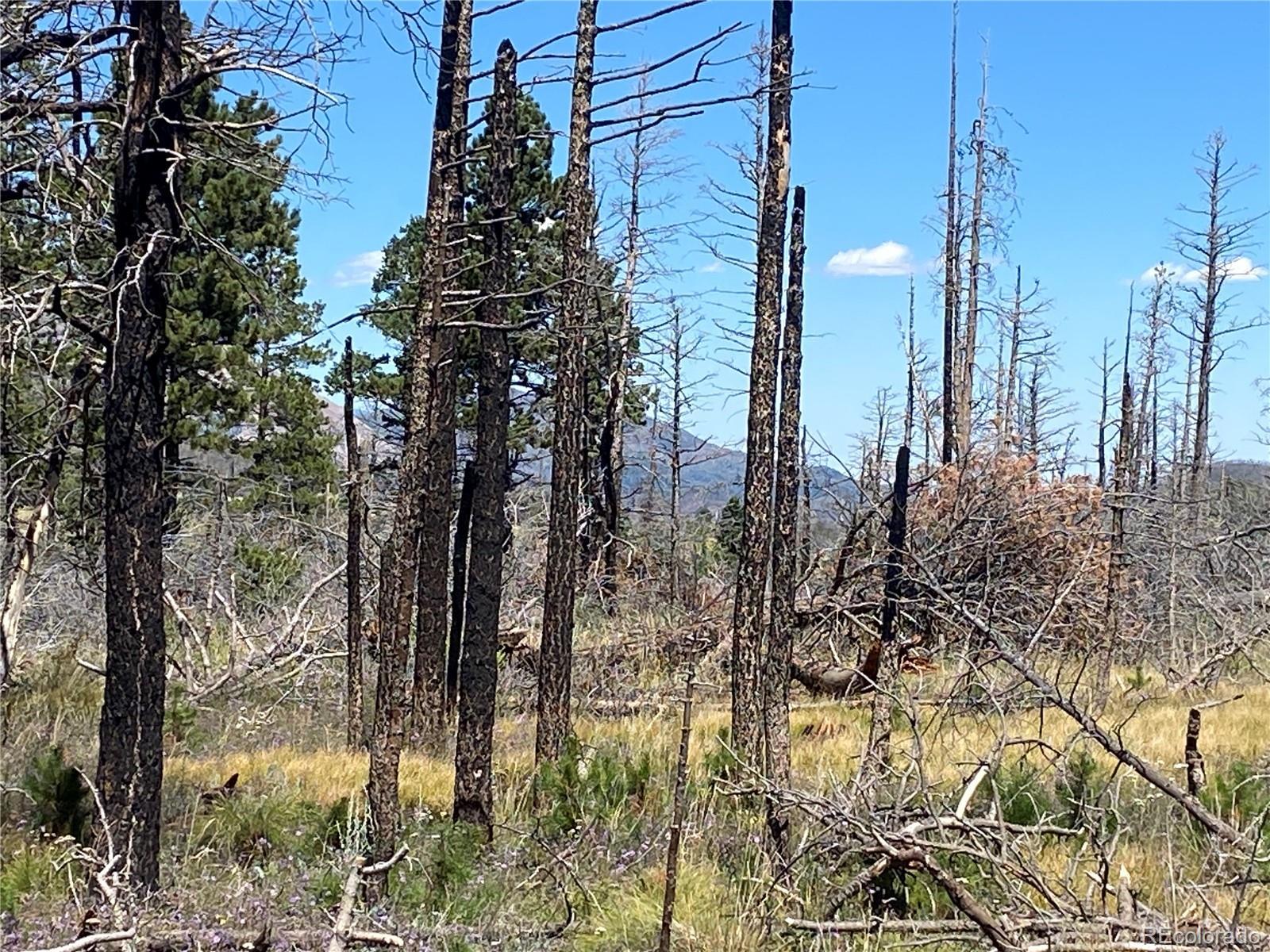 Photo of Listing #7137694