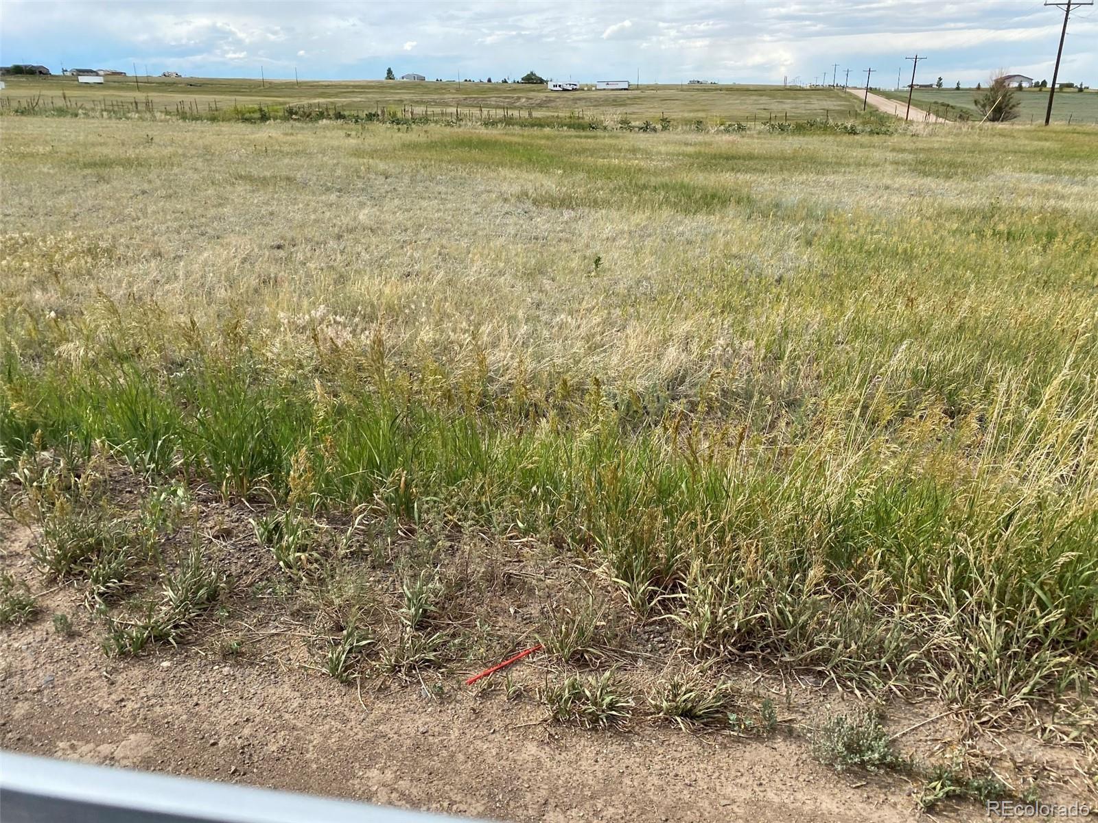 Photo of Listing #7169645