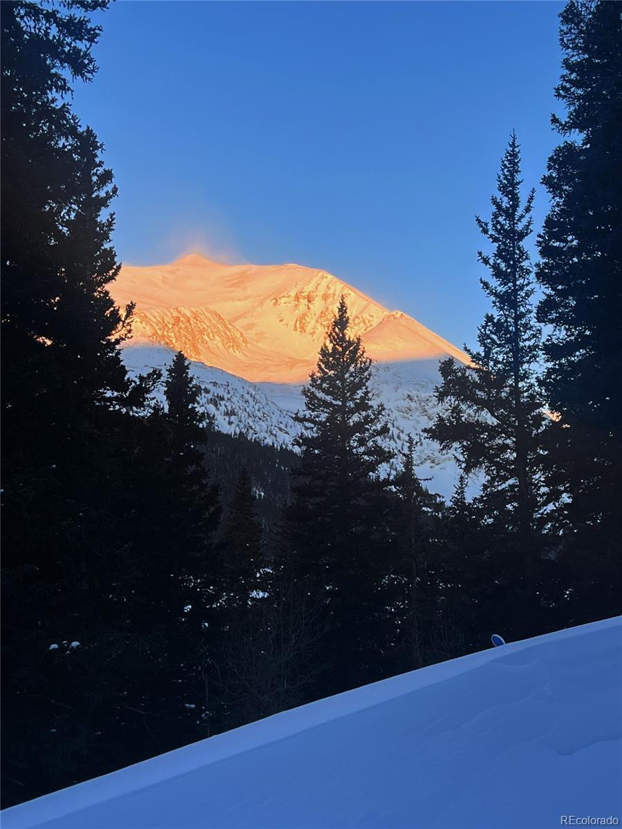 Photo of Listing #7209341