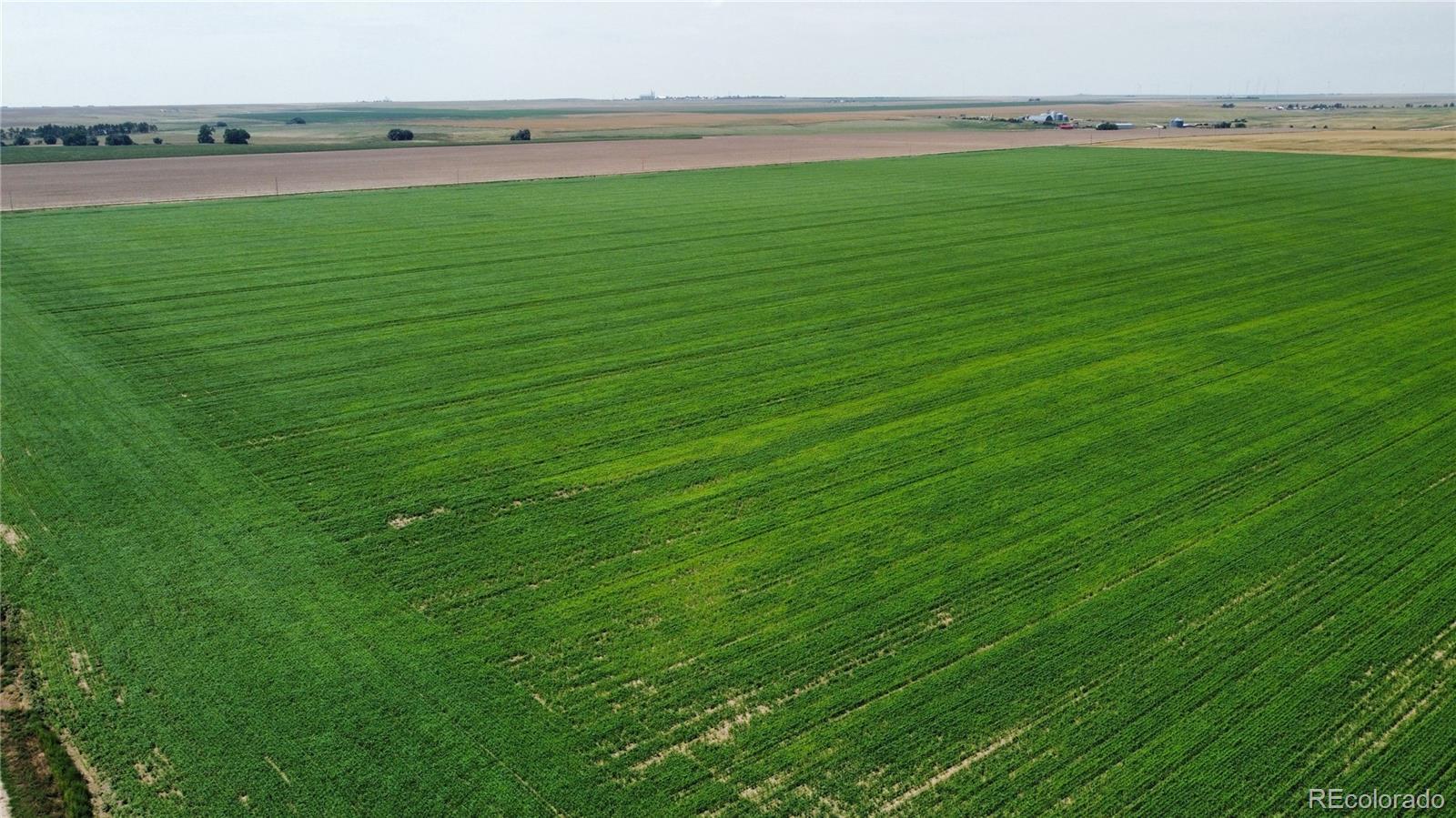 Photo of Listing #7223829