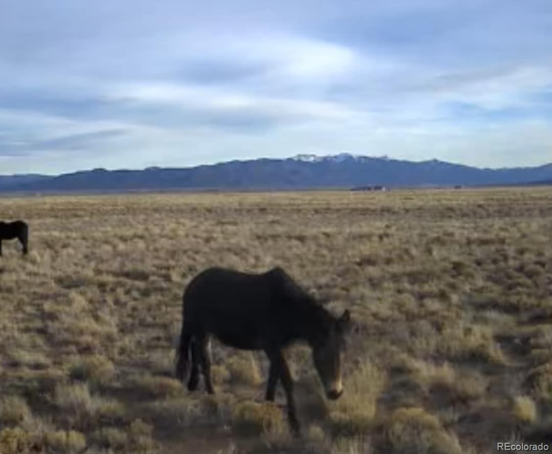 Photo of Listing #7289043