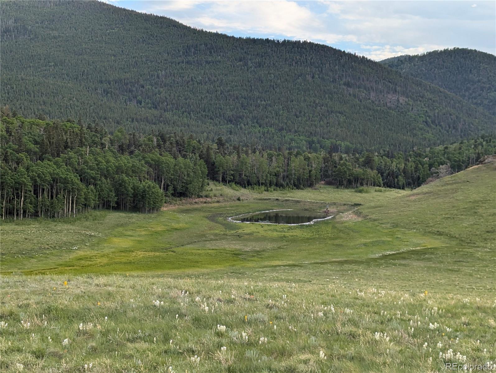 Photo of Listing #7298446