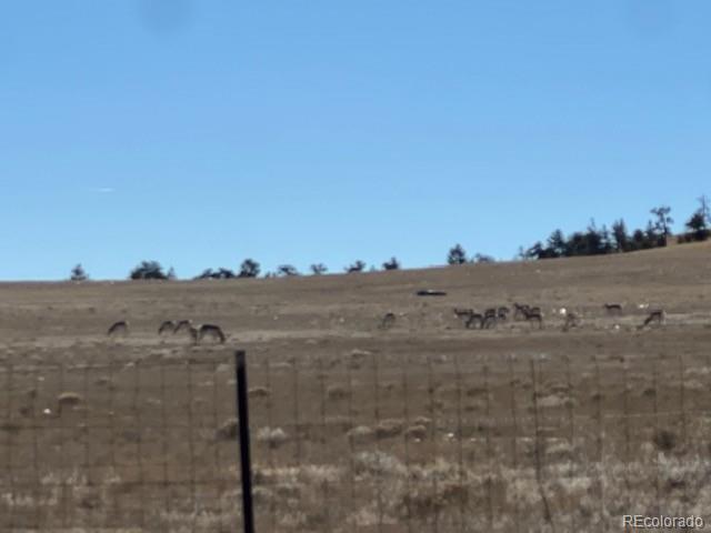 Photo of Listing #7313649