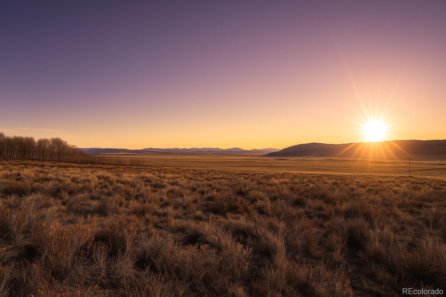 Photo of Listing #7334488