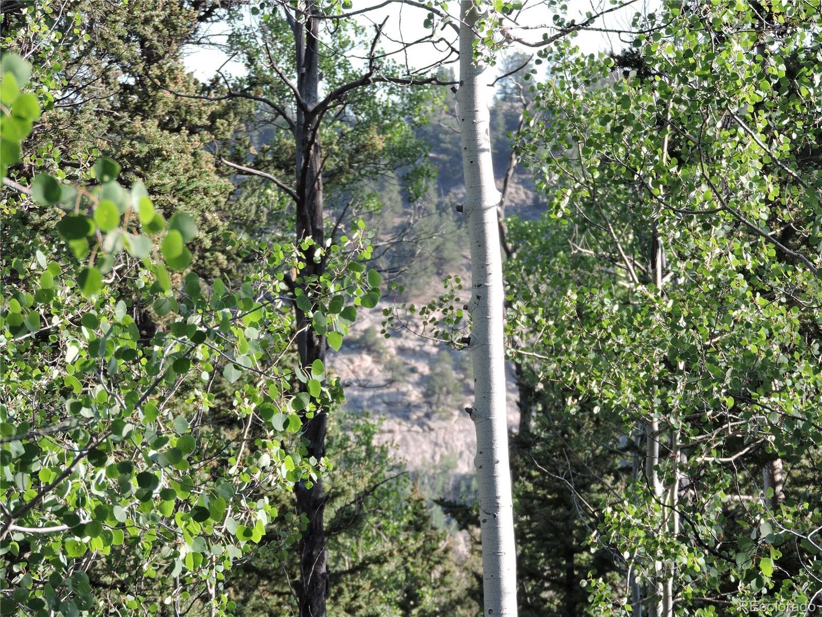 Photo of Listing #7335245