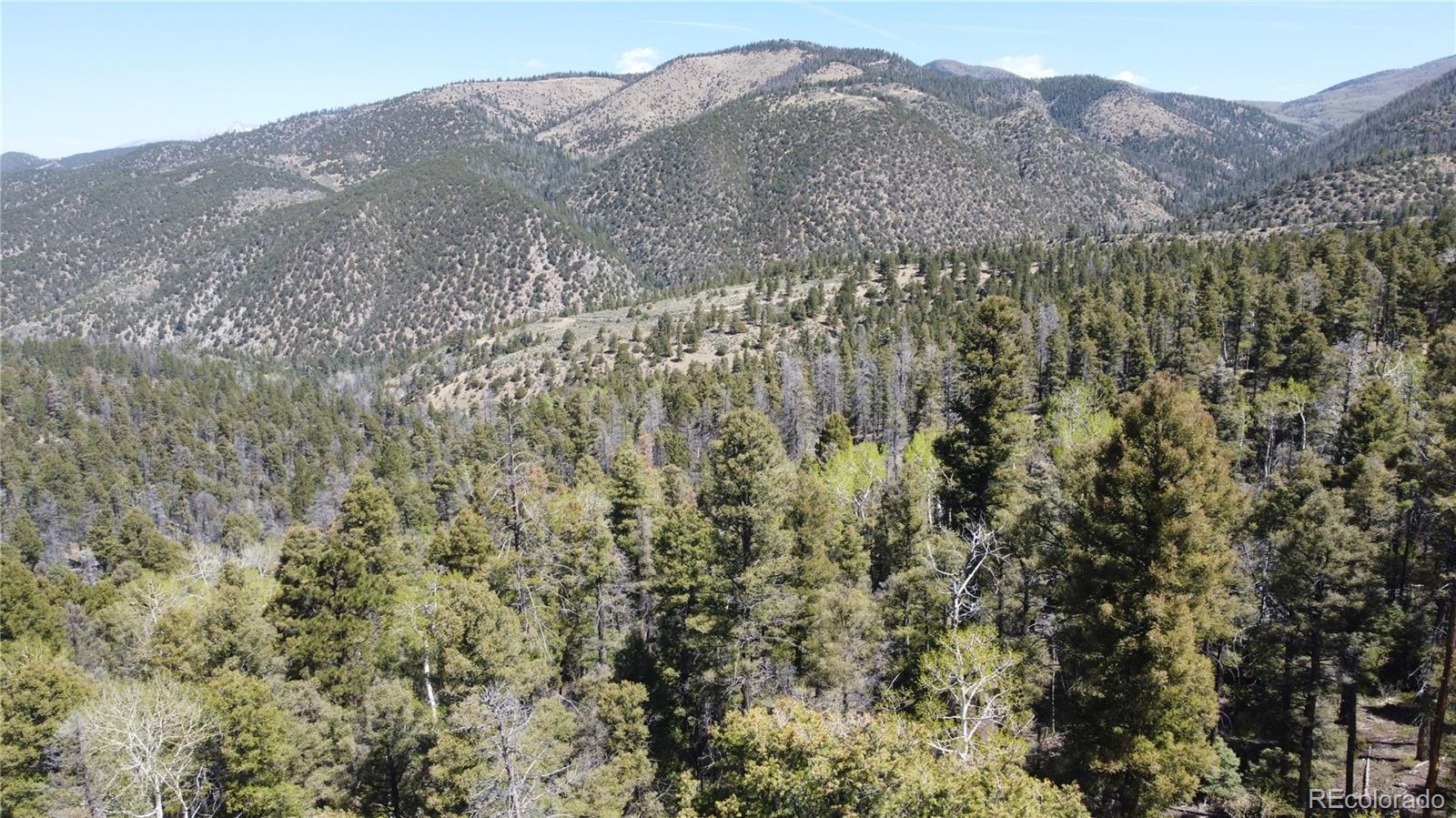 Photo of Listing #7344241