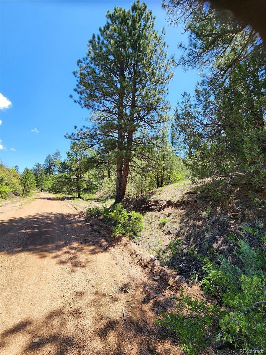 Photo of Listing #7348196