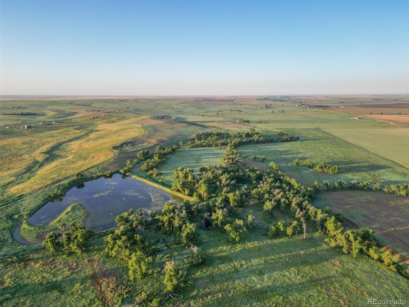 Photo of Listing #7399654