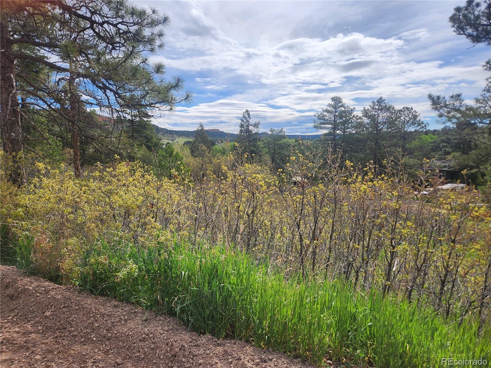 Photo of Listing #7400494