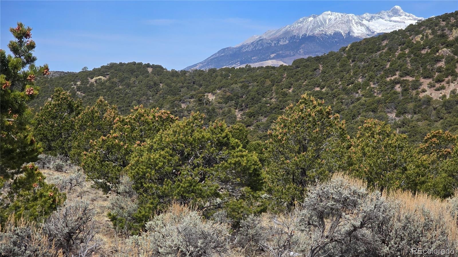 Photo of Listing #7411830