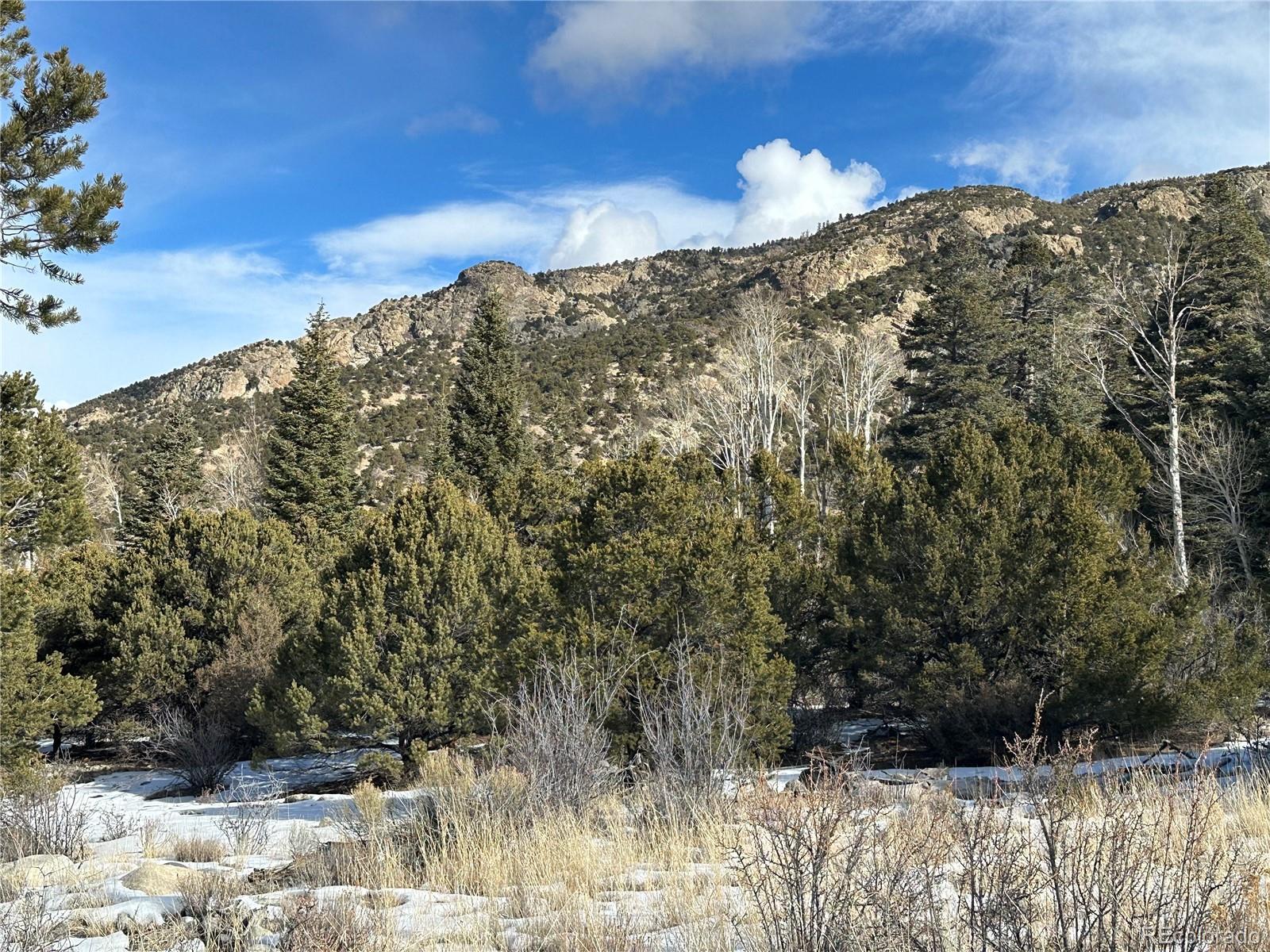 Photo of Listing #7441707