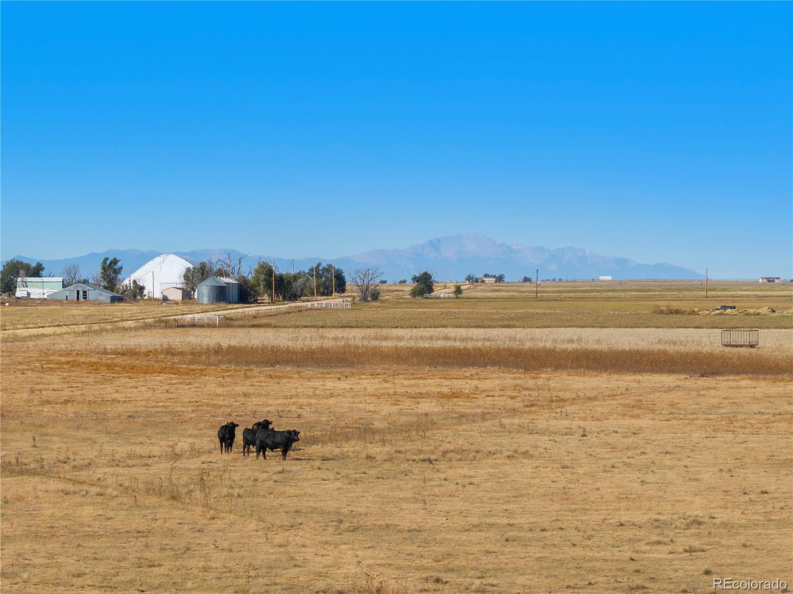 Photo of Listing #7506497