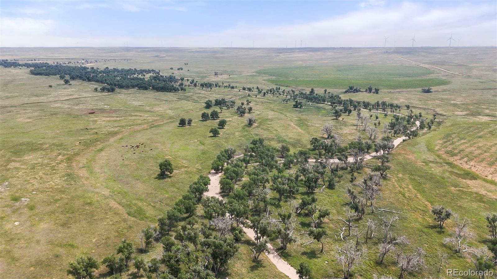 Photo of Listing #7593121